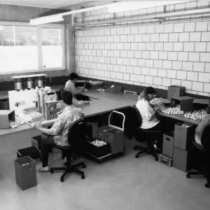 old digmesa production site